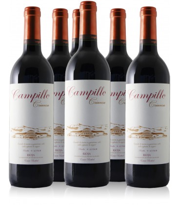 6 botellas Campillo Crianza 2007