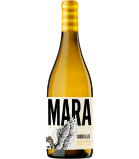 Mara Martín 2020