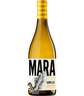More about Mara Martín 2021