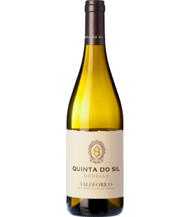 More about QUINTA DO SIL 2021