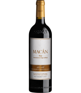 More about Macán 2019