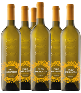More about ✶✶✶ PRIVATE SALE ✶✶✶ Pazo Barrantes 2014 x 6 bottles