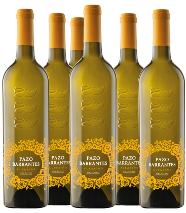 ✶✶✶ PRIVATVERKAUF ✶✶✶ Pazo Barrantes 2014 x 6 flaschen