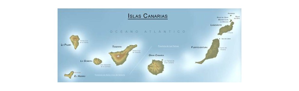 Wines from the Canary Islands